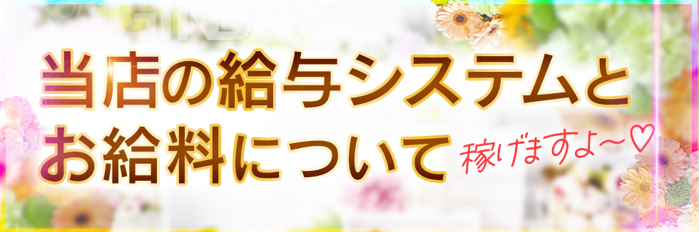 給与システムとお給料について